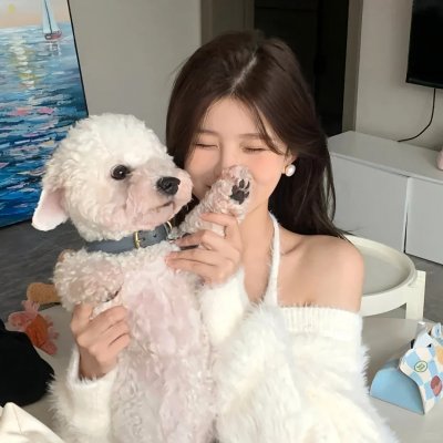 继承杯