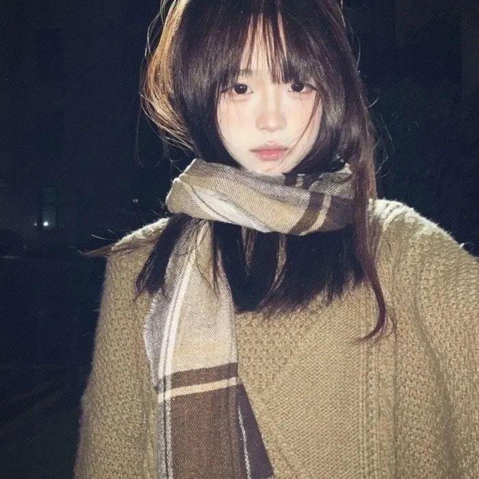 鲅鱼恋上猫
